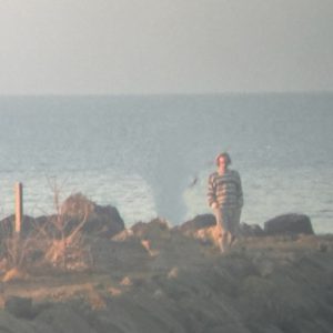 Joshua Luongo Profile Image